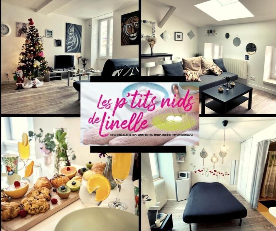 Appartement Le Mini Nid à Rives  Extérieur photo